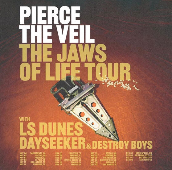 L.S. Dunes most recent merch launch